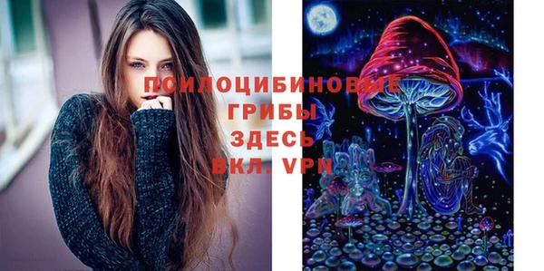 не бодяженный Рославль