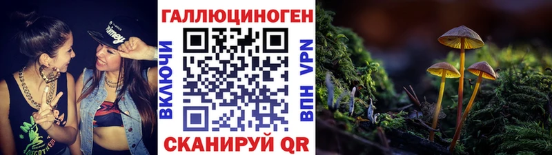 Псилоцибиновые грибы Cubensis  дарнет шоп  Белоозёрский 